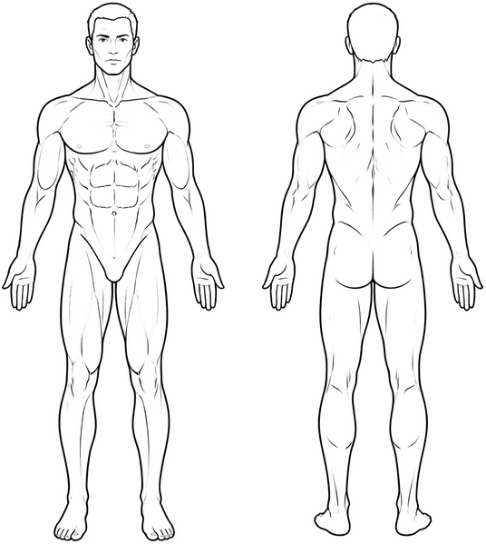 File:Homunculous.png